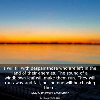 Picture 03 - Leviticus 26:36 GW - I will fill with despair those who are left in - Bible Verse Picture