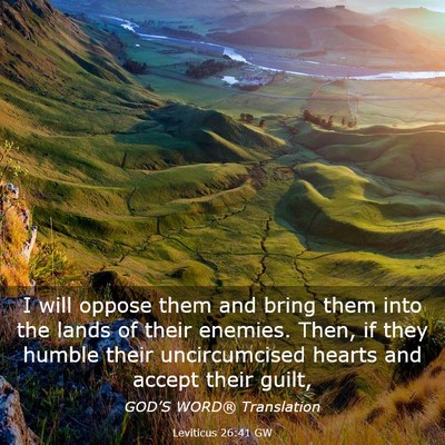 Picture 03 - Leviticus 26:41 GW - I will oppose them and bring them into the lands - Bible Verse Picture