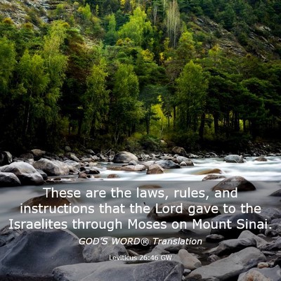 Picture 03 - Leviticus 26:46 GW - These are the laws, rules, and instructions that - Bible Verse Picture