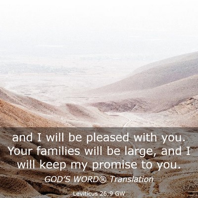 Picture 03 - Leviticus 26:9 GW - and I will be pleased with you. Your families - Bible Verse Picture