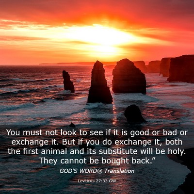 Picture 03 - Leviticus 27:33 GW - You must not look to see if it is good or bad or - Bible Verse Picture