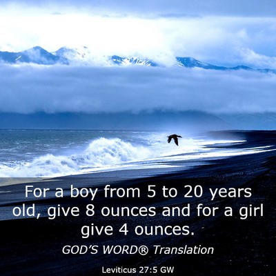 Picture 03 - Leviticus 27:5 GW - For a boy from 5 to 20 years old, give 8 ounces - Bible Verse Picture