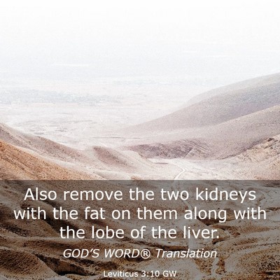 Picture 03 - Leviticus 3:10 GW - Also remove the two kidneys with the fat on them - Bible Verse Picture
