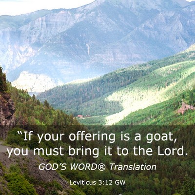 Picture 03 - Leviticus 3:12 GW - “If your offering is a goat, you must bring it - Bible Verse Picture