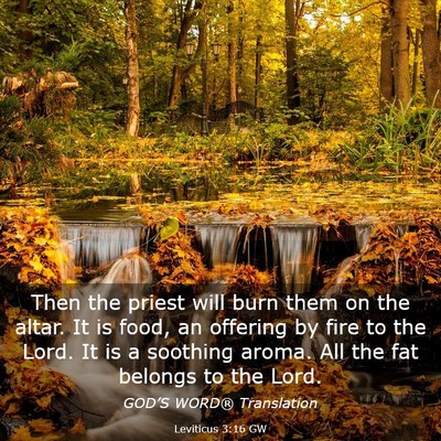 Picture 03 - Leviticus 3:16 GW - Then the priest will burn them on the altar. It - Bible Verse Picture