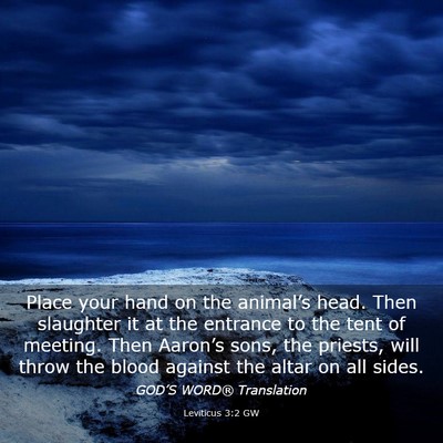 Picture 03 - Leviticus 3:2 GW - Place your hand on the animal’s head. Then - Bible Verse Picture