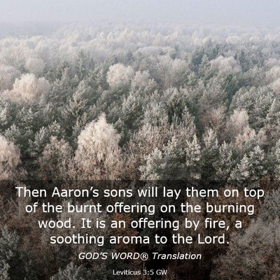 Picture 03 - Leviticus 3:5 GW - Then Aaron’s sons will lay them on top of the - Bible Verse Picture