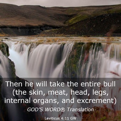 Picture 03 - Leviticus 4:11 GW - Then he will take the entire bull (the skin, - Bible Verse Picture