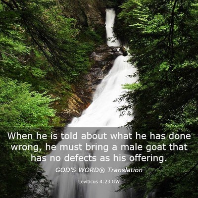 Picture 03 - Leviticus 4:23 GW - When he is told about what he has done wrong, he - Bible Verse Picture