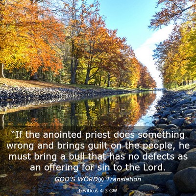 Picture 03 - Leviticus 4:3 GW - “If the anointed priest does something wrong - Bible Verse Picture
