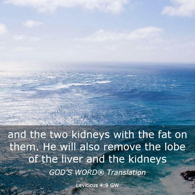 Picture 03 - Leviticus 4:9 GW - and the two kidneys with the fat on them. He will - Bible Verse Picture