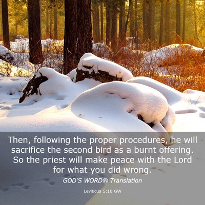 Picture 03 - Leviticus 5:10 GW - Then, following the proper procedures, he will - Bible Verse Picture