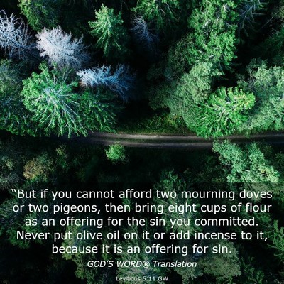 Picture 03 - Leviticus 5:11 GW - “But if you cannot afford two mourning doves or - Bible Verse Picture