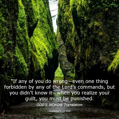 Picture 03 - Leviticus 5:17 GW - “If any of you do wrong—even one thing - Bible Verse Picture