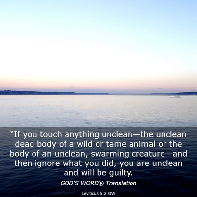 Picture 03 - Leviticus 5:2 GW - “If you touch anything unclean—the unclean - Bible Verse Picture