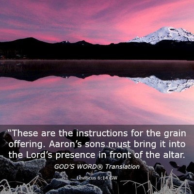 Picture 03 - Leviticus 6:14 GW - “These are the instructions for the grain - Bible Verse Picture