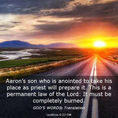 Picture 03 - Leviticus 6:22 GW - Aaron’s son who is anointed to take his place - Bible Verse Picture