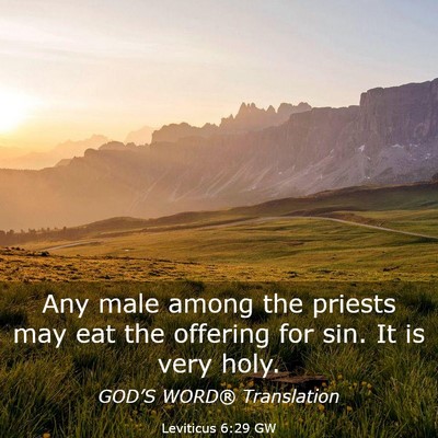 Picture 03 - Leviticus 6:29 GW - Any male among the priests may eat the offering - Bible Verse Picture