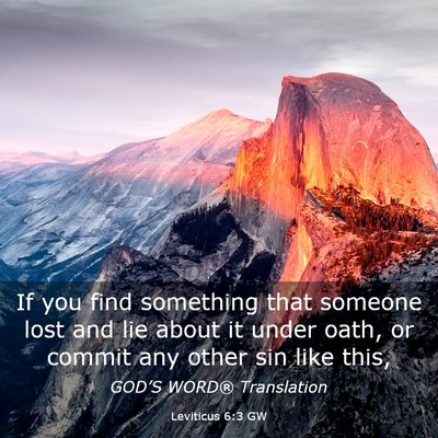 Picture 03 - Leviticus 6:3 GW - If you find something that someone lost and lie - Bible Verse Picture