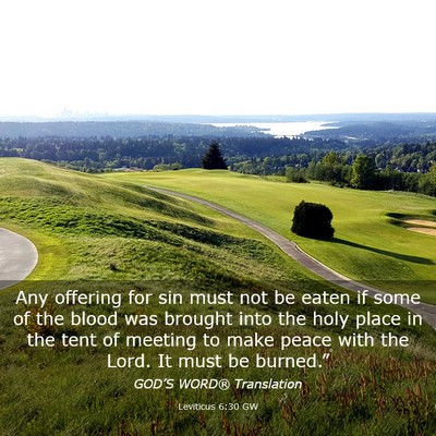 Picture 03 - Leviticus 6:30 GW - Any offering for sin must not be eaten if some of - Bible Verse Picture