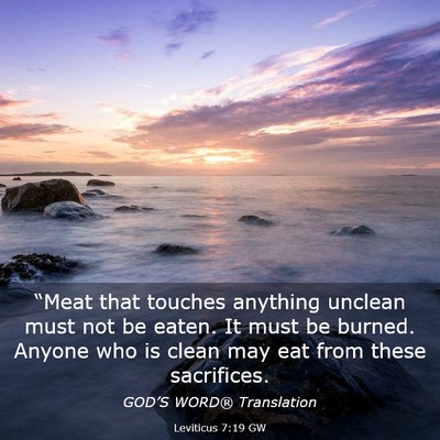 Picture 03 - Leviticus 7:19 GW - “Meat that touches anything unclean must not be - Bible Verse Picture