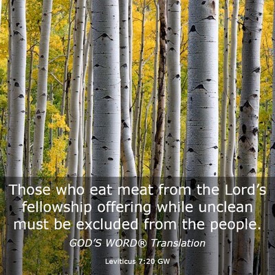 Picture 03 - Leviticus 7:20 GW - Those who eat meat from the Lord’s fellowship - Bible Verse Picture