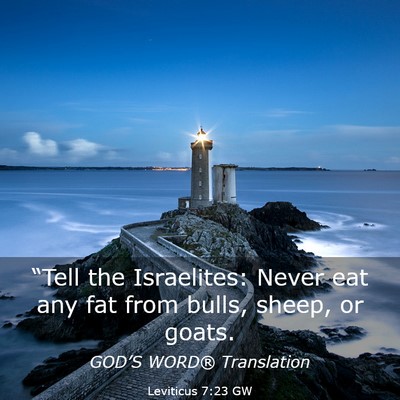 Picture 03 - Leviticus 7:23 GW - “Tell the Israelites: Never eat any fat from - Bible Verse Picture
