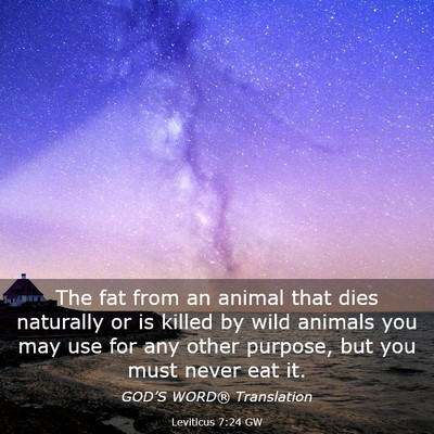 Picture 03 - Leviticus 7:24 GW - The fat from an animal that dies naturally or is - Bible Verse Picture