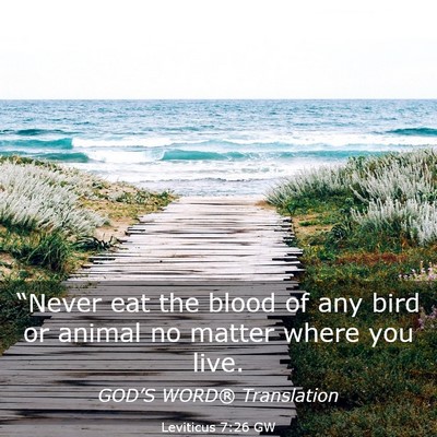 Picture 03 - Leviticus 7:26 GW - “Never eat the blood of any bird or animal no - Bible Verse Picture
