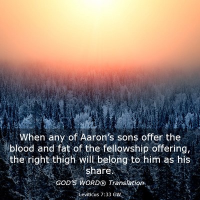 Picture 03 - Leviticus 7:33 GW - When any of Aaron’s sons offer the blood and - Bible Verse Picture