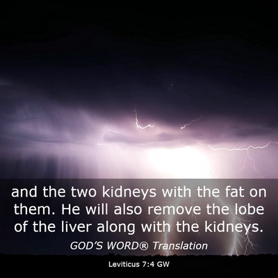Picture 03 - Leviticus 7:4 GW - and the two kidneys with the fat on them. He will - Bible Verse Picture