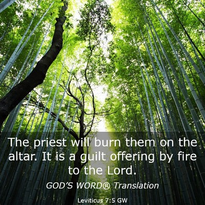 Picture 03 - Leviticus 7:5 GW - The priest will burn them on the altar. It is a - Bible Verse Picture