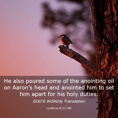 Picture 03 - Leviticus 8:12 GW - He also poured some of the anointing oil on - Bible Verse Picture
