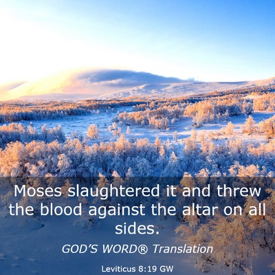 Picture 03 - Leviticus 8:19 GW - Moses slaughtered it and threw the blood against - Bible Verse Picture