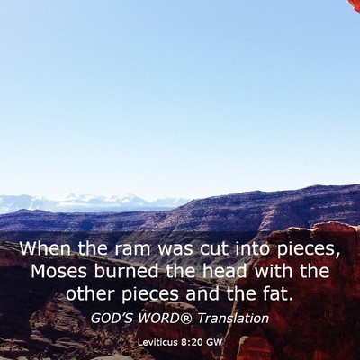 Picture 03 - Leviticus 8:20 GW - When the ram was cut into pieces, Moses burned - Bible Verse Picture