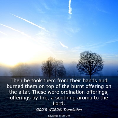 Picture 03 - Leviticus 8:28 GW - Then he took them from their hands and burned - Bible Verse Picture