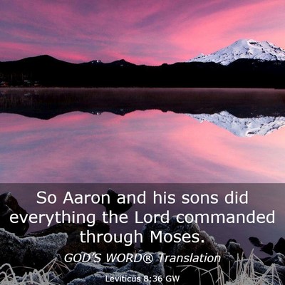 Picture 03 - Leviticus 8:36 GW - So Aaron and his sons did everything the Lord - Bible Verse Picture