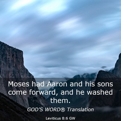 Picture 03 - Leviticus 8:6 GW - Moses had Aaron and his sons come forward, and he - Bible Verse Picture