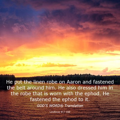 Picture 03 - Leviticus 8:7 GW - He put the linen robe on Aaron and fastened the - Bible Verse Picture