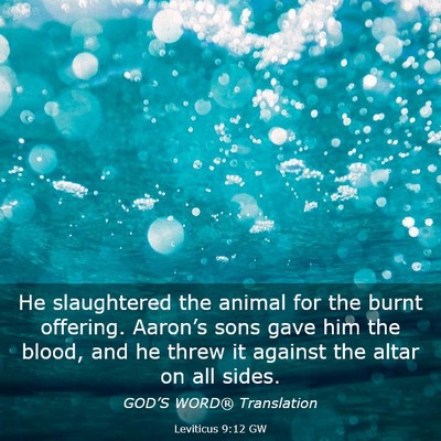 Picture 03 - Leviticus 9:12 GW - He slaughtered the animal for the burnt offering. - Bible Verse Picture