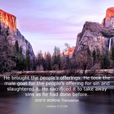 Picture 03 - Leviticus 9:15 GW - He brought the people’s offerings. He took the - Bible Verse Picture
