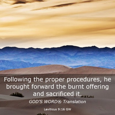 Picture 03 - Leviticus 9:16 GW - Following the proper procedures, he brought - Bible Verse Picture