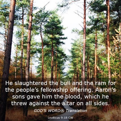 Picture 03 - Leviticus 9:18 GW - He slaughtered the bull and the ram for the - Bible Verse Picture