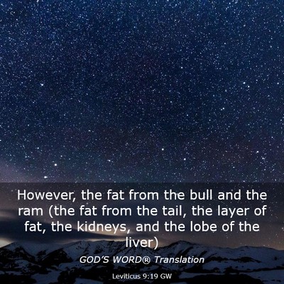 Picture 03 - Leviticus 9:19 GW - However, the fat from the bull and the ram (the - Bible Verse Picture
