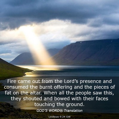 Picture 03 - Leviticus 9:24 GW - Fire came out from the Lord’s presence and - Bible Verse Picture