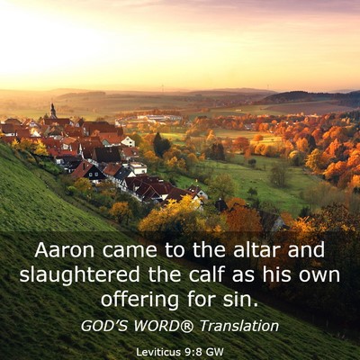 Picture 03 - Leviticus 9:8 GW - Aaron came to the altar and slaughtered the calf - Bible Verse Picture