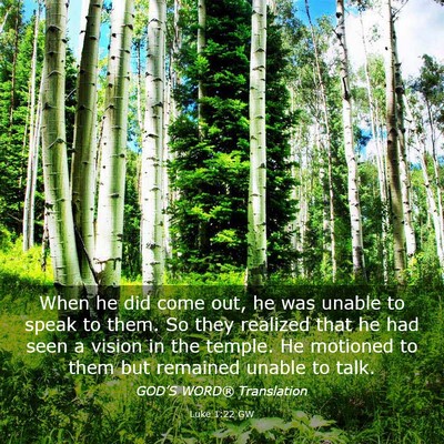 Picture 03 - Luke 1:22 GW - When he did come out, he was unable to speak to - Bible Verse Picture