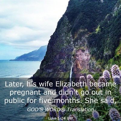 Picture 03 - Luke 1:24 GW - Later, his wife Elizabeth became pregnant and - Bible Verse Picture