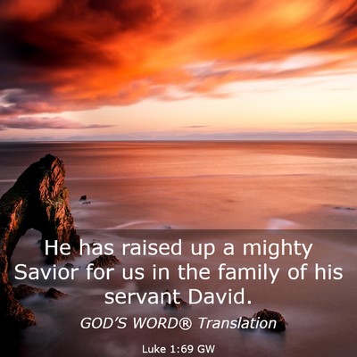 Picture 03 - Luke 1:69 GW - He has raised up a mighty Savior for us in the - Bible Verse Picture
