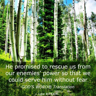 Picture 03 - Luke 1:74 GW - He promised to rescue us from our enemies’ - Bible Verse Picture